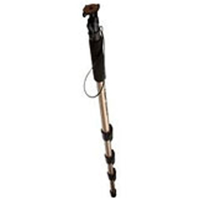 Canon Cameras 6195A005 Monopod 100